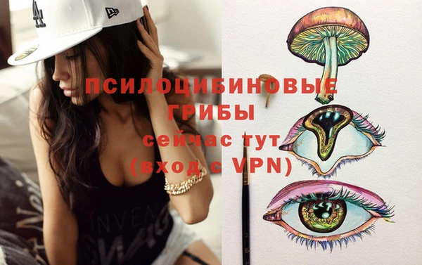 ПСИЛОЦИБИНОВЫЕ ГРИБЫ Армянск