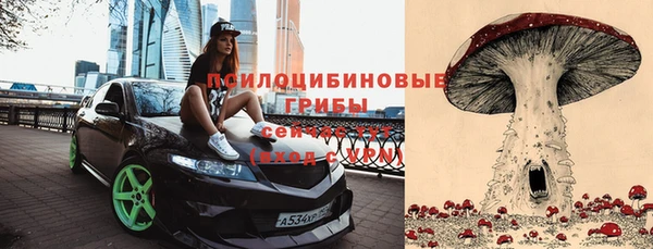 ПСИЛОЦИБИНОВЫЕ ГРИБЫ Армянск