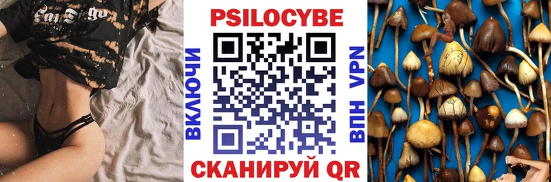 закладки  Снежинск  дарк нет как зайти  Галлюциногенные грибы прущие грибы 