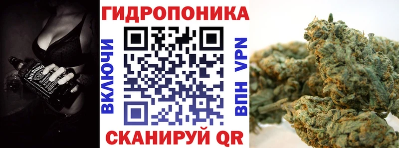 OMG ссылки  где купить наркоту  Снежинск  Шишки марихуана SATIVA & INDICA 